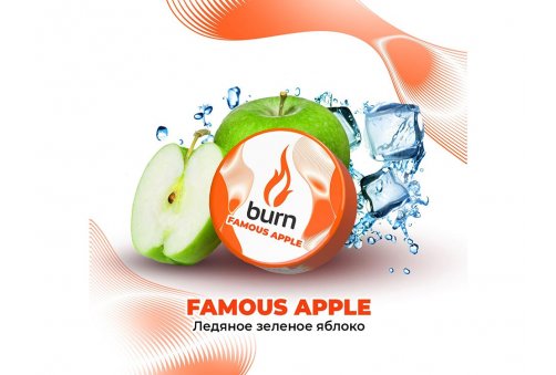 Burn - Famous Apple (Ледяное Зеленое Яблоко) 25g