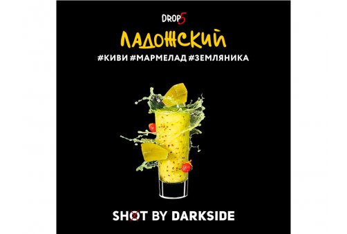 DarkSide Shot - Ладожский Shot 30g