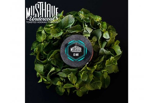 Must Have 125g - Ice Mint