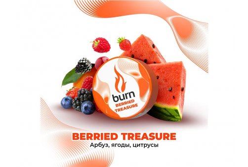 Burn - Berried Treasure (Арбуз, Ягоды, Цитрусы) 25g