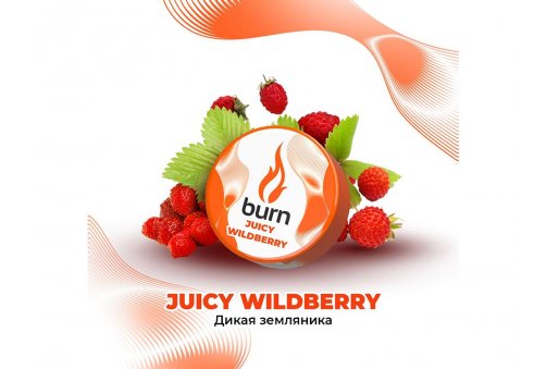 Burn - Juicy Wildberry (Дикая Земляника) 25g