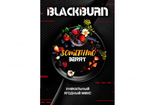 Black Burn - Something Berry (Что-то Ягодное) 100g