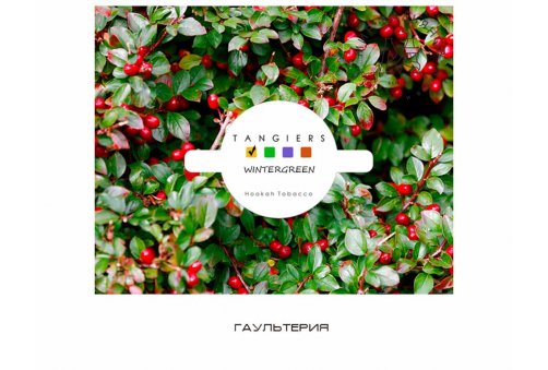 Tangiers Noir Wintergreen 100g