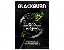 Black Burn - Shock, Currant Shock (Кислая Черная Смородина) 100g