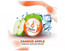 Burn - Famous Apple (Ледяное Зеленое Яблоко) 25g