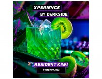 Darkside Experience - Resident Kiwi (Киви-Алоэ) 120g