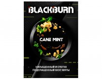 Black Burn - Cane Mint (Тростниковая Мята) 100g