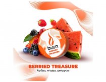 Burn - Berried Treasure (Арбуз, Ягоды, Цитрусы) 25g