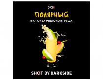 DarkSide Shot - Полярный Shot 30g