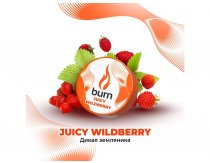 Burn - Juicy Wildberry (Дикая Земляника) 25g