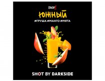 DarkSide Shot - Южный Shot 30g