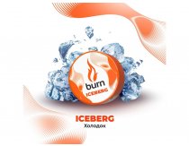 Burn - Iceberg (Холодок) 25g